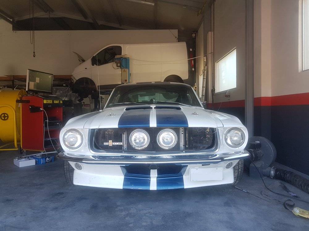 mustang